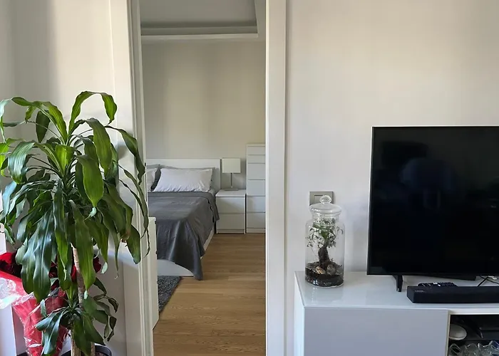 Apartamento Moderno Bilocale Con Terrazzo Roma